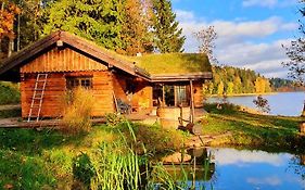 Dabas Fito Spa Ozolrasas, Aromterapijas Pirts Ieklauta Cena